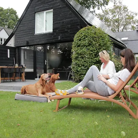Pleasant In With Terrace
