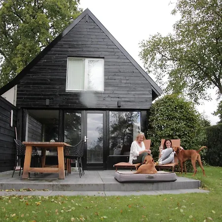 In Leenderbos Near Nature Reserve Leende