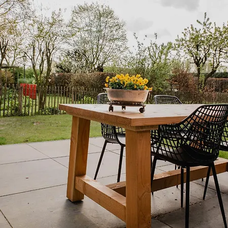 In Leenderbos Near Nature Reserve *