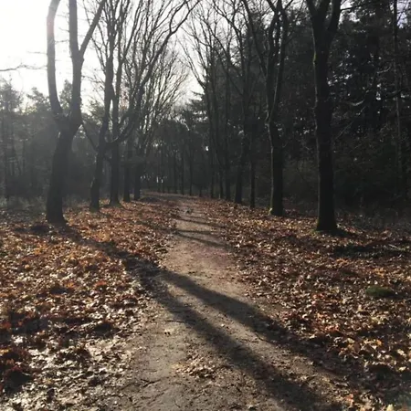 In Leenderbos Near Nature Reserve Tatil Evi