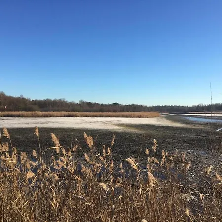 In Leenderbos Near Nature Reserve Tatil Evi