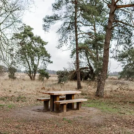 In Leenderbos Near Nature Reserve Tatil Evi Leende