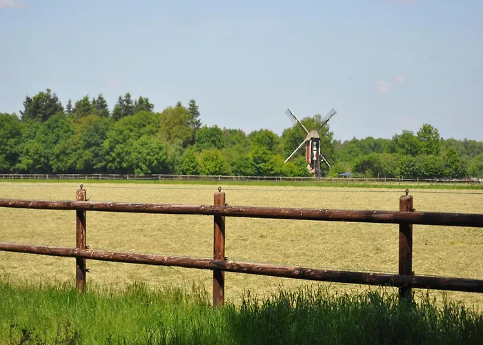 In Leenderbos Near Nature Reserve *