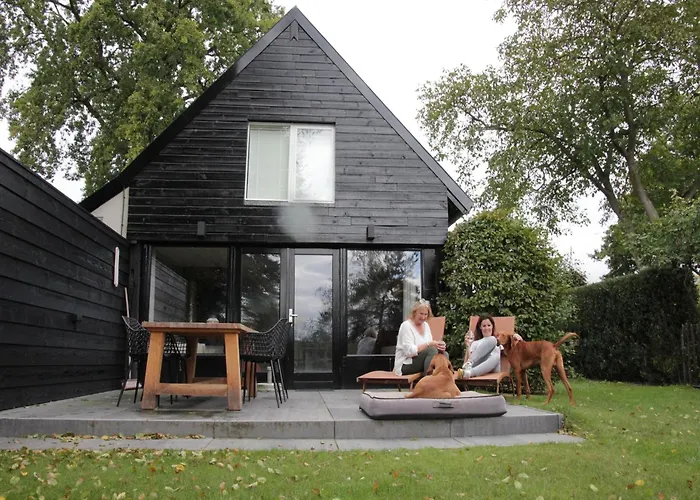 In Leenderbos Near Nature Reserve Leende