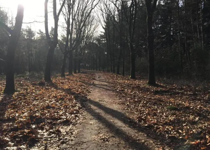 In Leenderbos Near Nature Reserve Σπίτι διακοπών