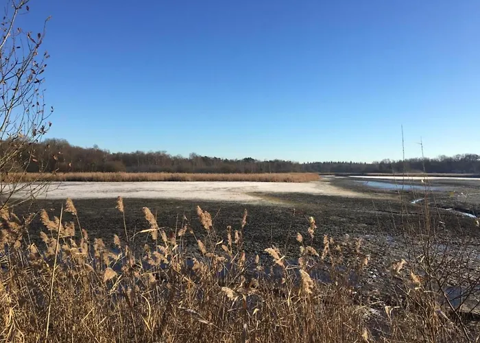 In Leenderbos Near Nature Reserve * Leende