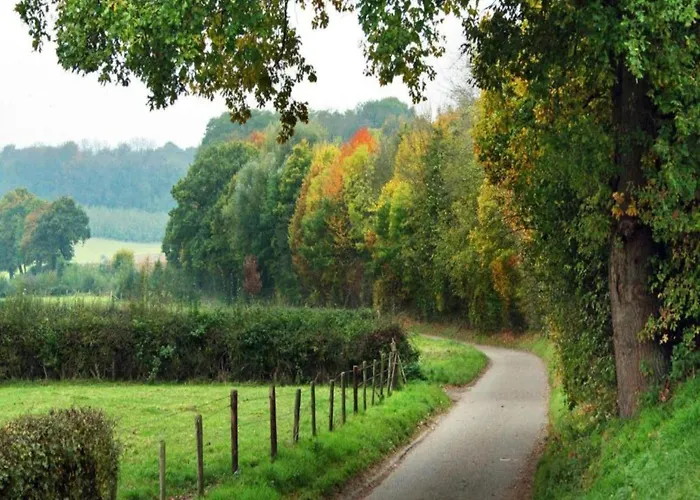 In Leenderbos Near Nature Reserve Σπίτι διακοπών