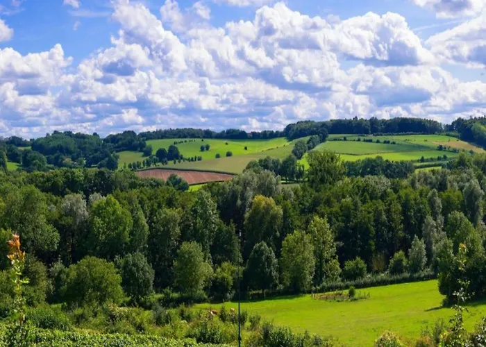 Σπίτι διακοπών In Leenderbos Near Nature Reserve