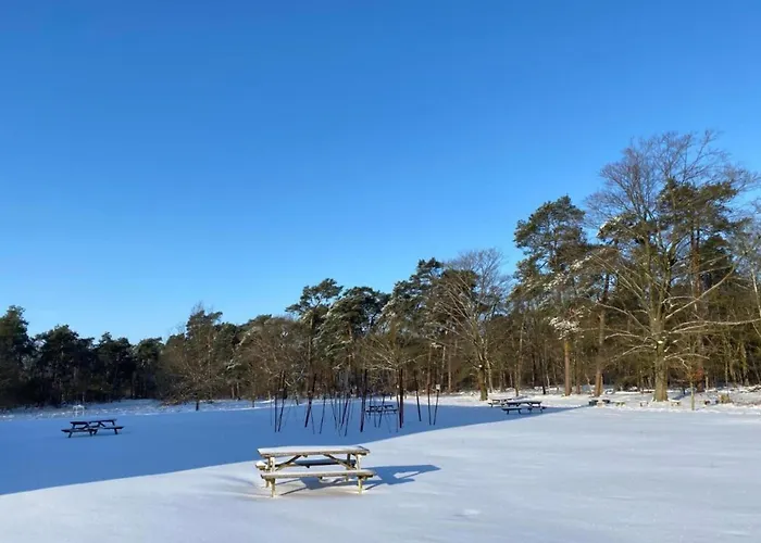 In Leenderbos Near Nature Reserve Σπίτι διακοπών Leende