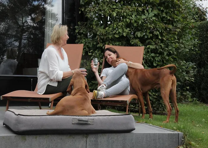 In Leenderbos Near Nature Reserve *