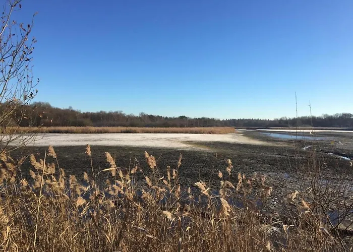 In Leenderbos Near Nature Reserve Σπίτι διακοπών