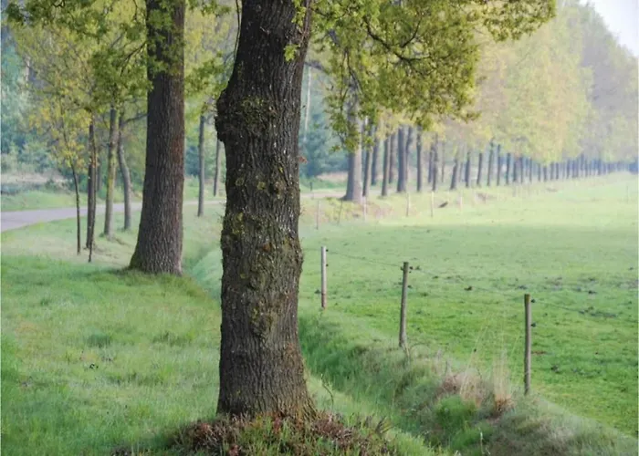 In Leenderbos Near Nature Reserve Σπίτι διακοπών *