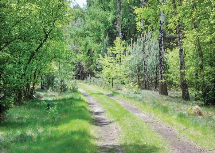 In Leenderbos Near Nature Reserve Σπίτι διακοπών *