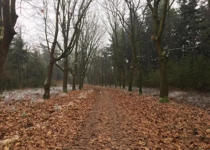 Σπίτι διακοπών In Leenderbos Near Nature Reserve *