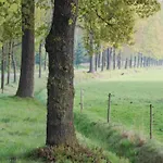 In Leenderbos Near Nature Reserve 度假居 *