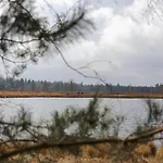 度假居 In Leenderbos Near Nature Reserve
