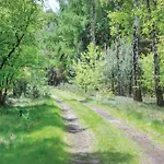 In Leenderbos Near Nature Reserve 度假居 *