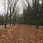度假居 In Leenderbos Near Nature Reserve *